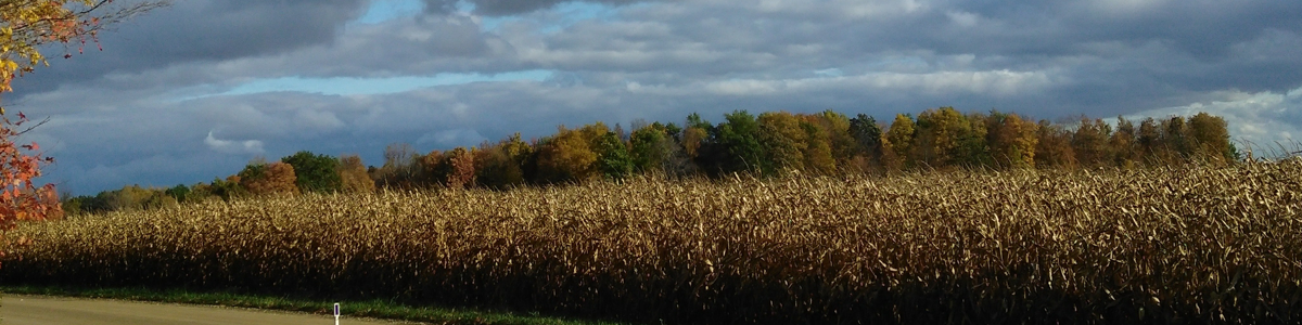 Arcadia Township - Autumn Harvest