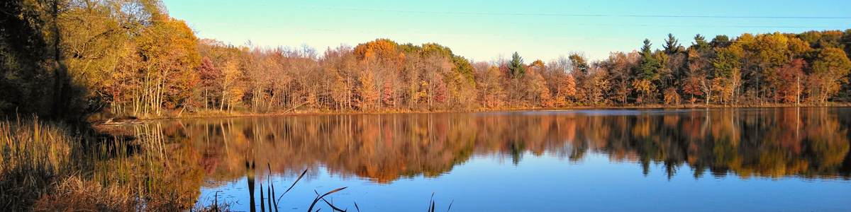 Arcadia Township - Spring