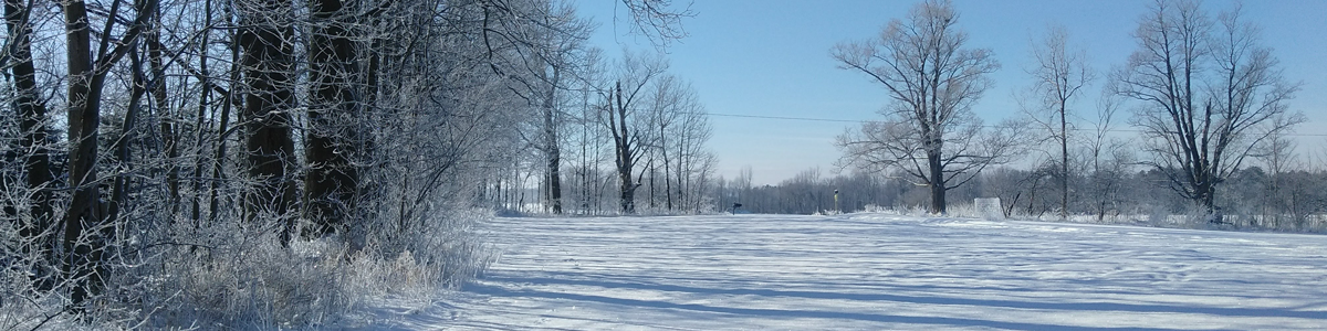 Arcadia Township - Winter